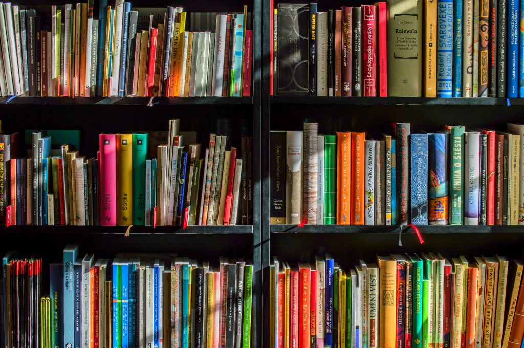 What Can You Do with an English Language Degree?